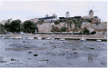 Seminari: "Les altre..