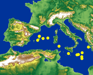 mapa_javi.png